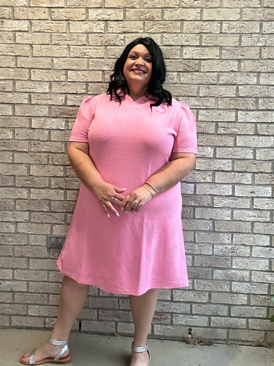 Double Take Full Size Texture Collared Neck Short Sleeve Dress